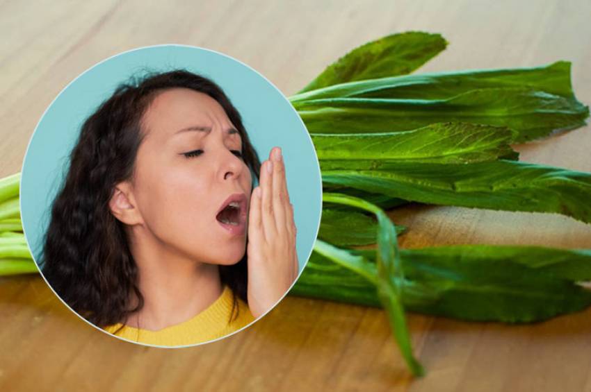 Tác dụng của rau mùi là gì?